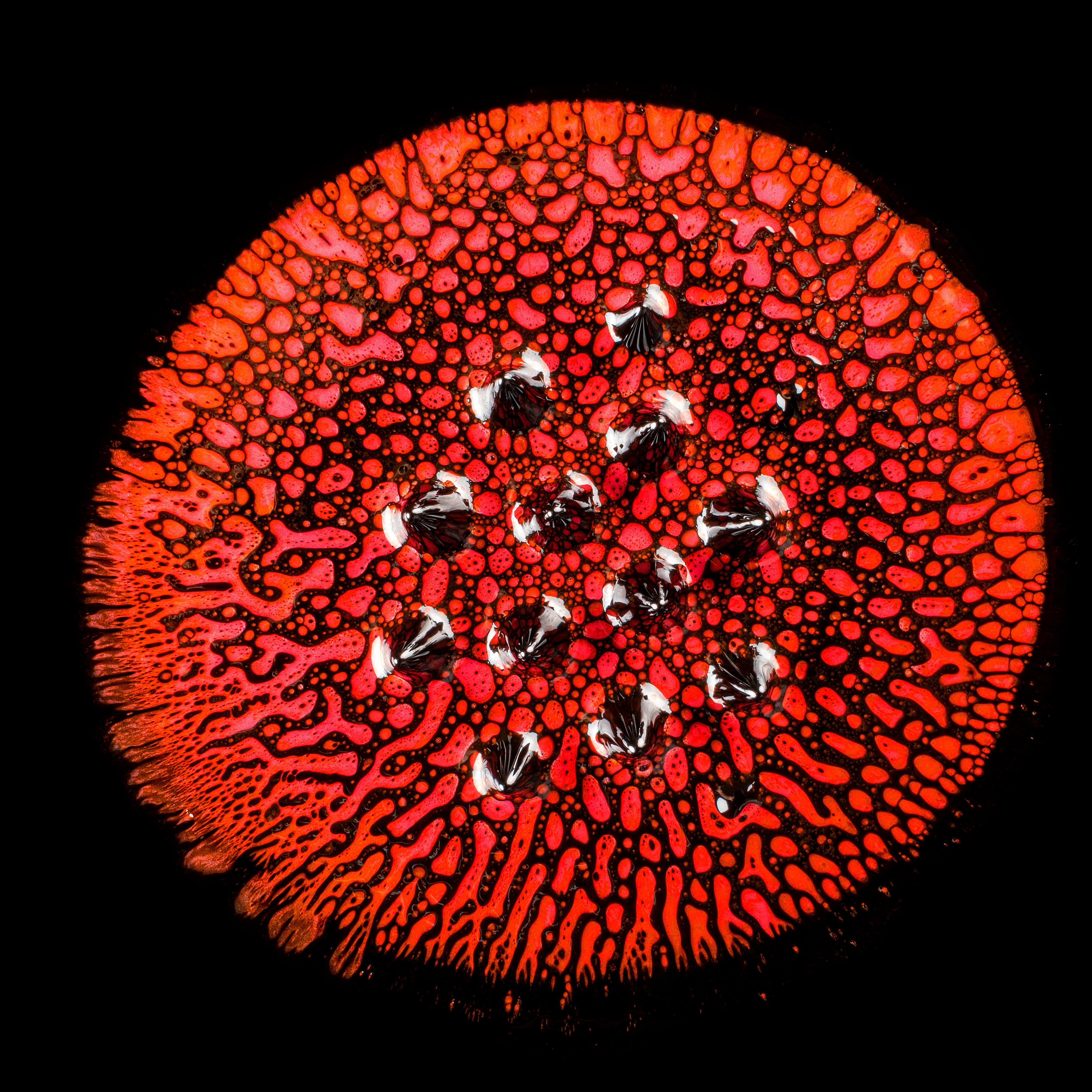Art and Matter